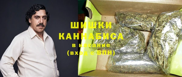 крисы Гусиноозёрск