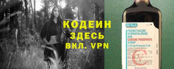 эйфоретик Гусев