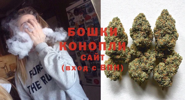 эйфоретик Гусев