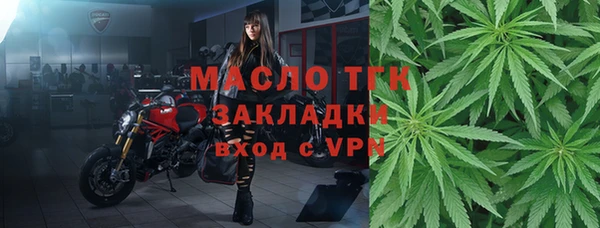 эйфоретик Гусев