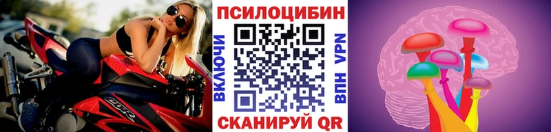 Купить где  Тейково  Галлюциногенные грибы Cubensis 